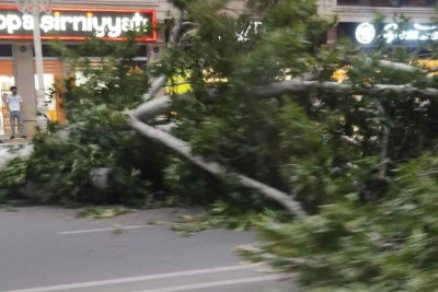 Küləyin fəsadlarının aradan qaldırılması işləri yekunlaşır