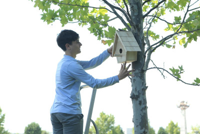 Şagirdlər park ərazisinə heyvanlar üçün yuvalar yerləşdiriblər