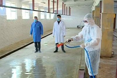 Qurbanlıqların kəsim və satış məntəqələri dezinfeksiya edilib