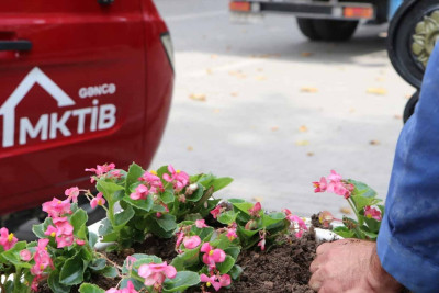 Bir sıra ərazilərdə ekoloji aksiya baş tutub