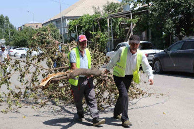 Sadıllı qəsəbəsində iməcilik təşkil olunub