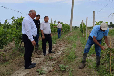 Təcrübə Stansiyasında tədbir təşkil edilib
