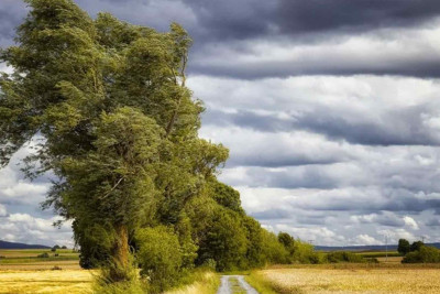 Növbəti günlərdəki küləyin sürəti açıqlanıb