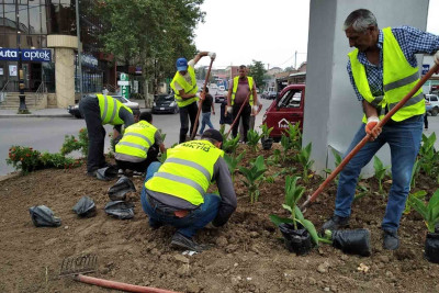 Şəhərin bir neçə yerinə iqlim şəraitinə uyğun güllər əkilib