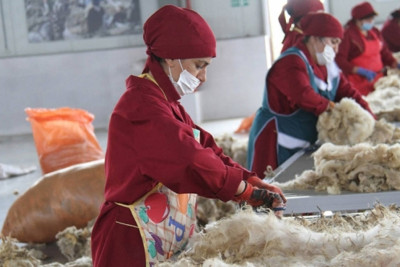 Yevlaxda istehsalat müəssisəsinə cərimə protokolu yazılıb