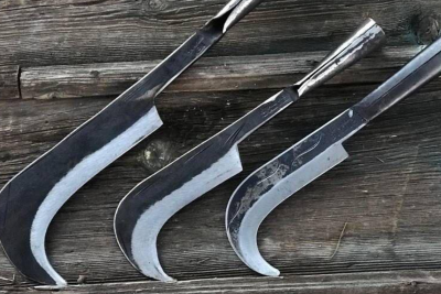 34 yaşlı qadın dəhrə ilə vurulub