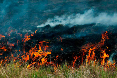 Qazaxda sahə yanıb