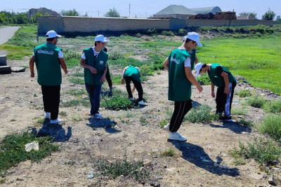 Samuxlu gənclər təmizlik aksiyası keçiriblər