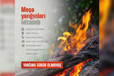 Bu rayonlarda meşə yanğınları ola bilər - təhlükə yüksəkdir