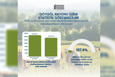 Kənd təsərrüfatı məhsullarının istehsalı artıb