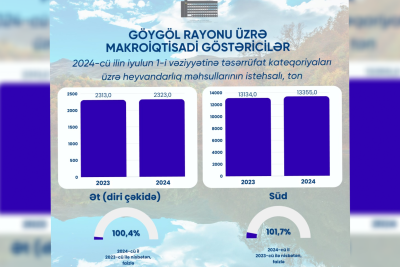 Göygöldə ət və süd istehsalında artım var