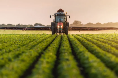 Bitkiçilik məhsullarının istehsalı artıb