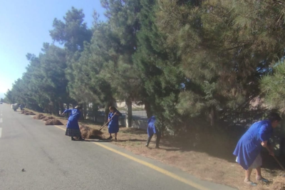 Hava limanı yolunda iməcilik keçirilib