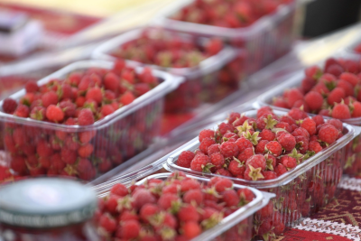 Göygöldə "Moruq Festivalı" keçirilib