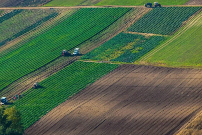 Dörd ədəd torpaq sahəsi icarə üçün müsabiqəyə qoyulacaq