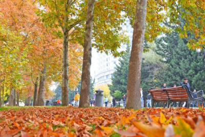 Bu həftə Azərbaycana payız fəsli daxil olacaq