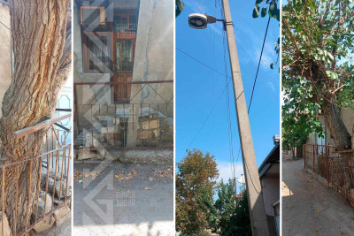 Əlbir olub bir dirək ağac ilə… - GƏNCƏDƏKİ ƏYRİLİKLƏR