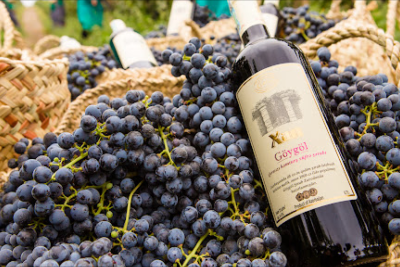 "Göygöl Şərab Zavodu"nda dəyişiklik ediləcək