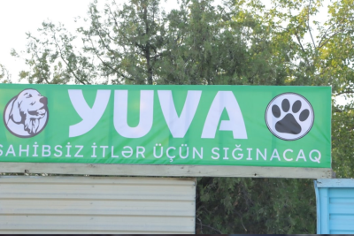 “Yuva” sahibsiz itlər sığınacağında vakansiya yaranıb