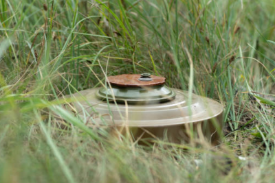 Mal-qara otaran gənc minaya düşdü