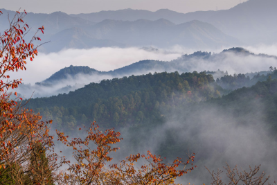 Gəncə-Qazax bölgəsinə yağıntı düşüb