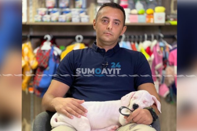 Mütəxəssis məsləhəti: “Küçə itlərindən qorunmağa ehtiyac yoxdur, qıcıqlandırmamaq yetərlidir”