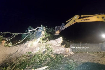 Goranboyda külək fəsadlar törədib