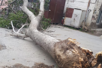 Təbiət hadisələrinin şəxsi mülkə vurduğu zərəri kim ödəməlidir? - AÇIQLAMA