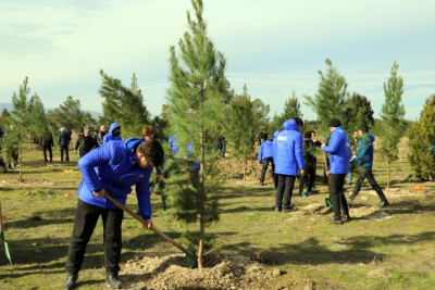 Azərbaycanda 1 milyondan çox ağac əkiləcək
