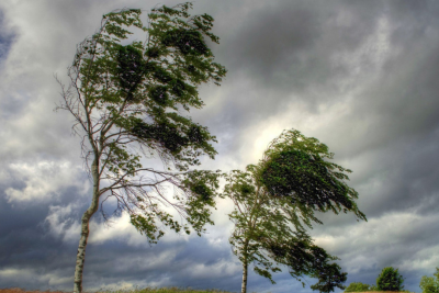 Qərb bölgəsində küləyin sürəti artacaq