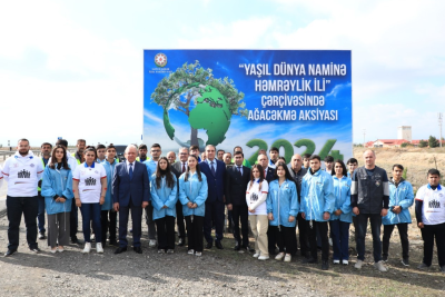 Gəncədə genişmiqyaslı ağacəkmə aksiyası keçirilir