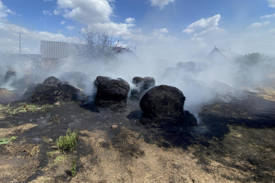 Goranboyda tonlarla ot bağlaması məhv olub