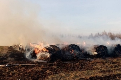 Tovuzda tonlarla ot bağlaması məhv olub