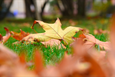 Sabah hava yağmursuz keçəcək - HAVA PROQNOZU