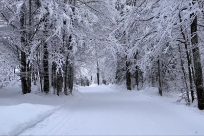 Bu ərazilərə qar yağdı