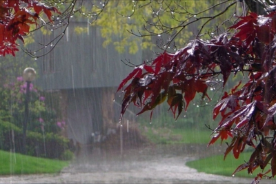 Rayonlarda hava yağıntılı olacaq - PROQNOZ