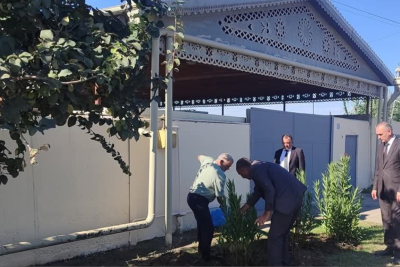 Goranboyda ağacəkmə aksiyası davam etdirilir