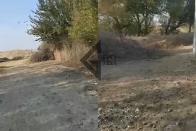 Palçıqda, ilanlara dolaşaraq dərsə gedən Goranboy məktəbliləri - ŞİKAYƏT