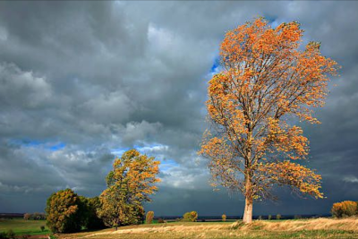 Sabah hava əsasən yağmursuz keçəcək - PROQNOZ