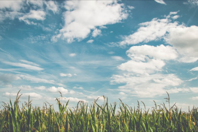 Hava yağmursuz keçib - FAKTİKİ HAVA