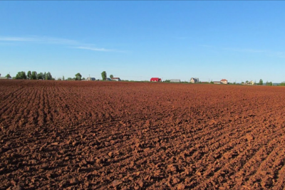 Rayonlarda bələdiyyə torpaqları satışa çıxarılacaq