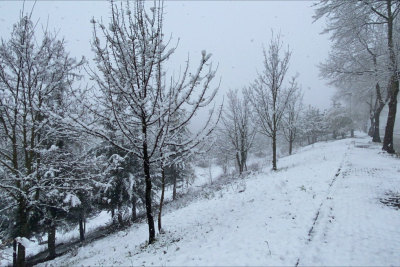 Qar yağıb, duman olub - FAKTİKİ HAVA