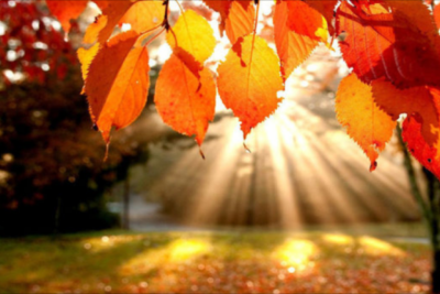 Sabah hava necə olacaq?