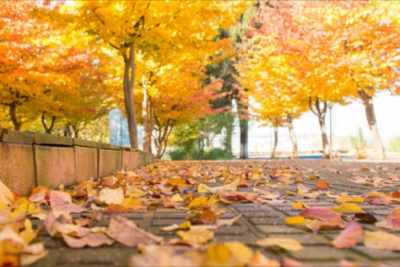 Sabahın hava PROQNOZU