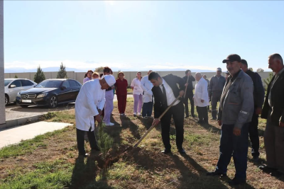 Goranboyda ağacəkmə aksiyası davam edir