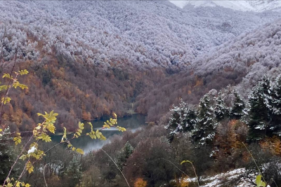 Milli parklara giriş ödənişsiz olacaq