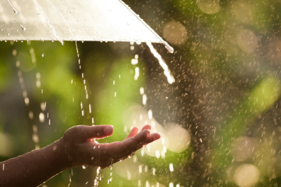 Noyabrın 12-si saat 11:00-a olan FAKTİKİ HAVA