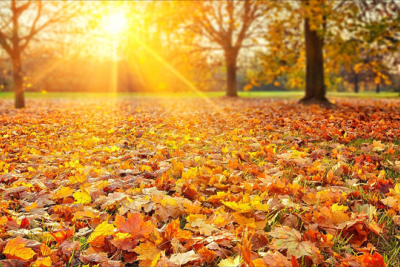 Sabah 25 dərəcə isti olacaq - PROQNOZ