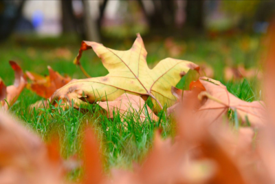 Sabah hava necə olacaq?