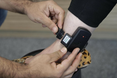 Arvadını mühasib, qardaşı oğlunu müavin təyin etdi - Sabiq sədrə elektron qolbaq taxıldı